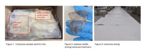 Images of cellulose production through the different stages